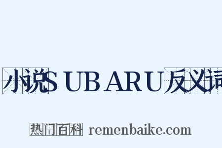 小说SUBARU反义词是什么意思的图片